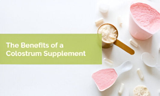 Colostrum Powder: A Supplement that loves your gut more than you ever will